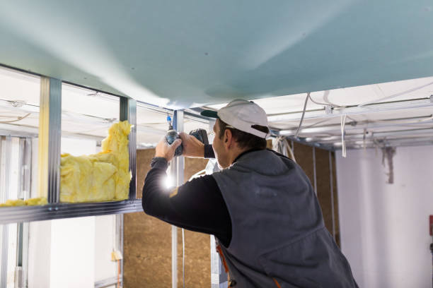 Best Insulation Installation Services in Royal Pines, NC